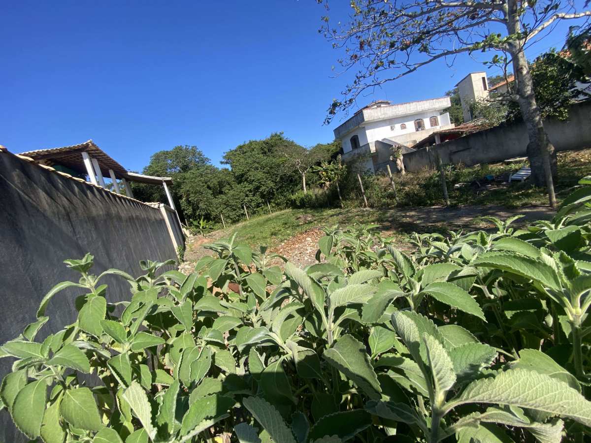 Terreno de 250 m² à Venda - Carla Neves Imóveis